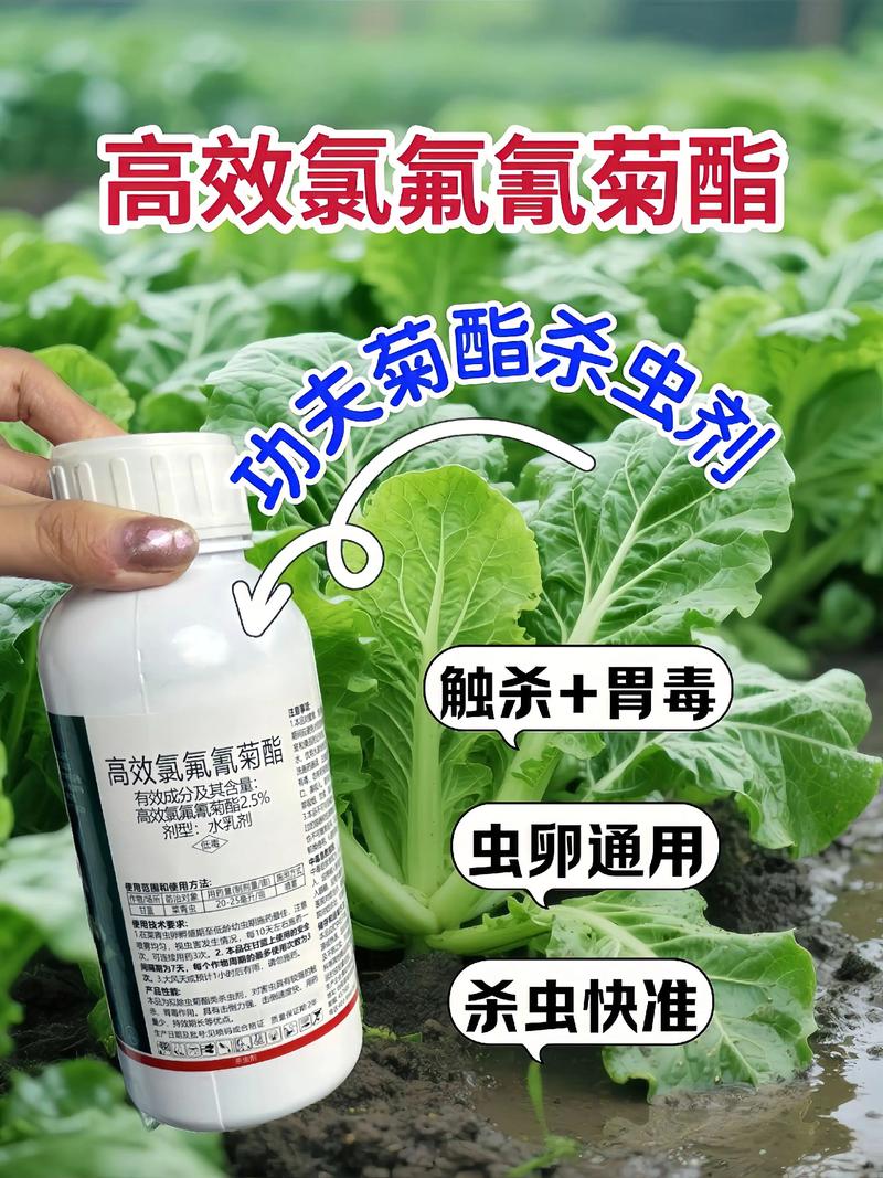 陇南代生中心:农药对供卵代生妈妈的危害